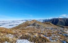 Jacks Pass Track to Mt Isobel