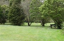 Kiriwhakapapa Campsite
