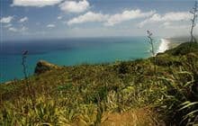 Maunganui Bluff Track
