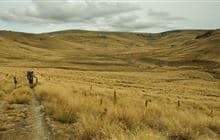 Nicholsons Track
