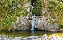 Lake Kaniere short walks