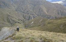 Motatapu Track