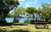 Cannibal Cove Campsite