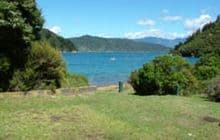 Wharehunga Bay Campsite