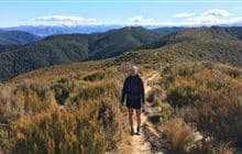 Summit Track
