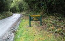 Pass Creek Track