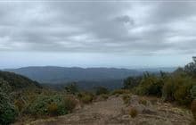 Pukeatua Track