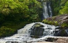 McLean Falls Walk