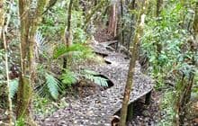Murrays Walk