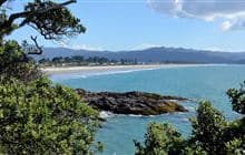 Matarangi Bluff Track