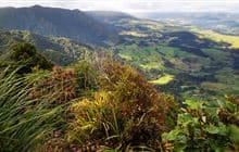 Hauturu Highpoint Track 