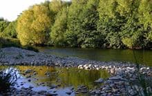 Maryburn Stream Track