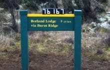 Burnt Ridge Track