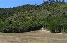 Tinline Campsite