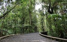 Puketī Nature Trail