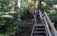 Hakarimata Walkway