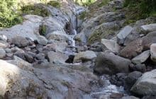 Wilkies Pools Loop Track