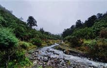 Homes Ridge Track