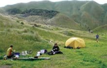 Moawhitu Campsite