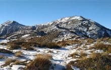 Mt Isobel Track