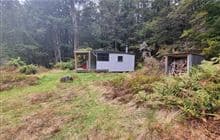 Roaring Lion Hut