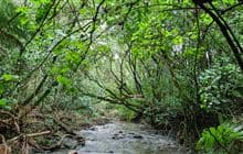 Hay Scenic Reserve walk
