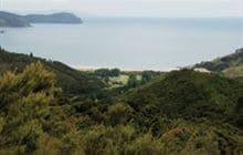 Matamataharakeke Track