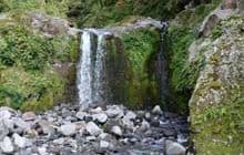 Curtis Falls Track