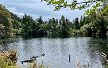Lake Wombat Walk
