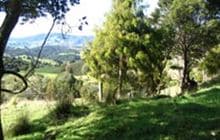 Kaitaia Walkway