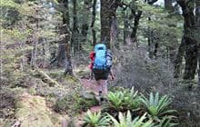 Boyd, Oamaru and Cascade Hut tracks