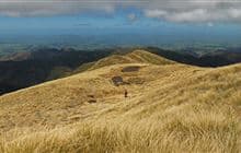 Limestone Road to Pohangina Valley East Road