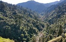 Coppermine Track