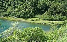 Old Māori Trail