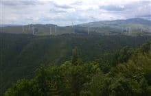 Manawatu Gorge Track