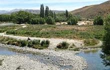 Ahuriri Bridge Campsite