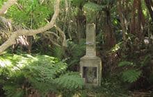 Ōruawairua Track