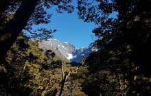 Mistake Creek Track