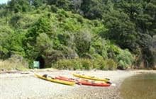 Tawa Bay Campsite