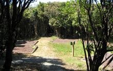 Crosbies Hut Backcountry Campsite