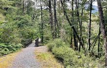 Old Coach Road