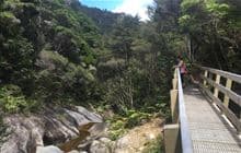 Kaiaraara Track to Mt Hobson (Hirakimata)