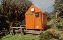 Dracophyllum Hut