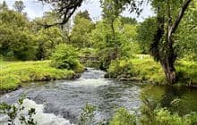 Meeting of the Waters Scenic Reserve walks