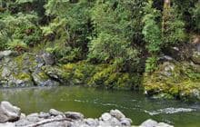 Iron Gate Hut Track