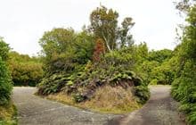 Mt Ngongotaha Jubilee Track