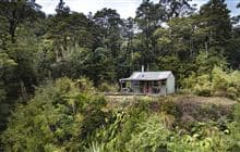 Upper Te Hoe Hut