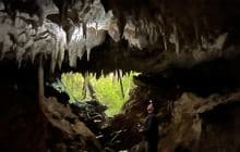 Fenian Caves Track