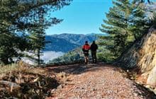 Globe Hill Track