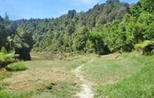 Mangapapa Campsite